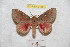  ( - BC-RBP 9188)  @13 [ ] Copyright (2015) Ron Brechlin Research Collection of Ron Brechlin