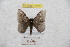  ( - BC-RBP 9210)  @11 [ ] Copyright (2015) Ron Brechlin Research Collection of Ron Brechlin