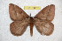  ( - BC-RBP 12203)  @11 [ ] copyright (2021) Ron Brechlin Research Collection of Ron Brechlin