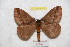  ( - BC-RBP 9279)  @12 [ ] Copyright (2015) Ron Brechlin Research Collection of Ron Brechlin