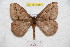  ( - BC-RBP 9280)  @13 [ ] Copyright (2015) Ron Brechlin Research Collection of Ron Brechlin
