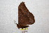  ( - BC-RBP 9308)  @13 [ ] Copyright (2015) Ron Brechlin Research Collection of Ron Brechlin