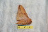  ( - BC-RBP 10968)  @11 [ ] Copyright (2018) Ron Brechlin Research Collection of Ron Brechlin