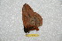  ( - BC-RBP 10972)  @11 [ ] Copyright (2018) Ron Brechlin Research Collection of Ron Brechlin
