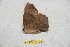  ( - BC-RBP 11021)  @11 [ ] Copyright (2018) Ron Brechlin Research Collection of Ron Brechlin
