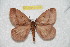  ( - BC-RBP 11048)  @11 [ ] Copyright (2018) Ron Brechlin Research Collection of Ron Brechlin