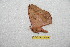  ( - BC-RBP 12260)  @11 [ ] copyright (2021) Ron Brechlin Research Collection of Ron Brechlin