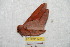  ( - BC-RBP 9401)  @11 [ ] Copyright (2015) Ron Brechlin Research Collection of Ron Brechlin