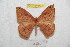  ( - BC-RBP 9433)  @12 [ ] Copyright (2015) Ron Brechlin Research Collection of Ron Brechlin