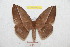  ( - BC-RBP 9437)  @14 [ ] Copyright (2015) Ron Brechlin Research Collection of Ron Brechlin