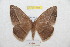  ( - BC-RBP 9438)  @13 [ ] Copyright (2015) Ron Brechlin Research Collection of Ron Brechlin