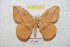 ( - BC-RBP 9439)  @14 [ ] Copyright (2015) Ron Brechlin Research Collection of Ron Brechlin