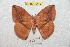  ( - BC-RBP 9440)  @11 [ ] Copyright (2015) Ron Brechlin Research Collection of Ron Brechlin