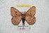  ( - BC-RBP 9453)  @11 [ ] Copyright (2015) Ron Brechlin Research Collection of Ron Brechlin