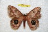  ( - BC-RBP 9469)  @13 [ ] Copyright (2015) Ron Brechlin Research Collection of Ron Brechlin