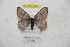  ( - BC-RBP 9487)  @11 [ ] Copyright (2015) Ron Brechlin Research Collection of Ron Brechlin