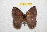  ( - BC-RBP 12337)  @11 [ ] copyright (2021) Ron Brechlin Research Collection of Ron Brechlin