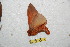  ( - BC-RBP 11075)  @11 [ ] Copyright (2018) Ron Brechlin Research Collection of Ron Brechlin