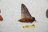  ( - BC-RBP 11076)  @12 [ ] Copyright (2018) Ron Brechlin Research Collection of Ron Brechlin