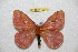  ( - BC-RBP 12342)  @11 [ ] copyright (2022) Ron Brechlin Research Collection of Ron Brechlin