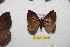  ( - BC-RBP 12362)  @11 [ ] copyright (2022) Ron Brechlin Research Collection of Ron Brechlin