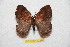 ( - BC-RBP 12366)  @11 [ ] copyright (2022) Ron Brechlin Research Collection of Ron Brechlin
