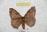  ( - BC-RBP 9534)  @13 [ ] Copyright (2015) Ron Brechlin Research Collection of Ron Brechlin
