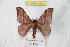  ( - BC-RBP 9540)  @13 [ ] Copyright (2015) Ron Brechlin Research Collection of Ron Brechlin