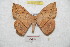  ( - BC-RBP 9571)  @14 [ ] Copyright (2015) Ron Brechlin Research Collection of Ron Brechlin