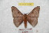  ( - BC-RBP 9589)  @12 [ ] Copyright (2015) Ron Brechlin Research Collection of Ron Brechlin