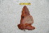  ( - BC-RBP 11173)  @13 [ ] Copyright (2018) Ron Brechlin Research Collection of Ron Brechlin