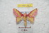  ( - BC-RBP 9621)  @14 [ ] Copyright (2015) Ron Brechlin Research Collection of Ron Brechlin