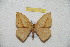  ( - BC-RBP 11244)  @11 [ ] Copyright (2018) Ron Brechlin Research Collection of Ron Brechlin