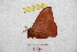  ( - BC-RBP 9694)  @13 [ ] Copyright (2015) Ron Brechlin Research Collection of Ron Brechlin