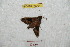  ( - BC-RBP 9704)  @12 [ ] Copyright (2015) Ron Brechlin Research Collection of Ron Brechlin