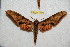  ( - BC-RBP 12378)  @11 [ ] copyright (2022) Ron Brechlin Research Collection of Ron Brechlin