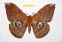  ( - BC-RBP 11277)  @14 [ ] Copyright (2018) Ron Brechlin Research Collection of Ron Brechlin