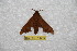  ( - BC-RBP 11282)  @11 [ ] Copyright (2018) Ron Brechlin Research Collection of Ron Brechlin