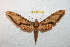  ( - BC-RBP 12385)  @11 [ ] copyright (2022) Ron Brechlin Research Collection of Ron Brechlin
