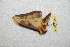  ( - BC-RBP 12402)  @11 [ ] copyright (2022) Ron Brechlin Research Collection of Ron Brechlin