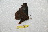  ( - BC-RBP 12413)  @11 [ ] copyright (2022) Ron Brechlin Research Collection of Ron Brechlin