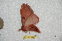  ( - BC-RBP 12417)  @11 [ ] copyright (2022) Ron Brechlin Research Collection of Ron Brechlin