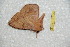  ( - BC-RBP 12422)  @11 [ ] copyright (2022) Ron Brechlin Research Collection of Ron Brechlin