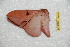  ( - BC-RBP 12425)  @11 [ ] copyright (2022) Ron Brechlin Research Collection of Ron Brechlin