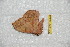  ( - BC-RBP 12428)  @11 [ ] copyright (2022) Ron Brechlin Research Collection of Ron Brechlin