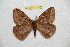  ( - BC-RBP 12433)  @11 [ ] copyright (2022) Ron Brechlin Research Collection of Ron Brechlin