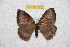  ( - BC-RBP 12479)  @11 [ ] copyright (2022) Ron Brechlin Research Collection of Ron Brechlin