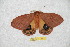  ( - BC-RBP 12503)  @11 [ ] copyright (2022) Ron Brechlin Research Collection of Ron Brechlin