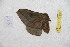  ( - BC-RBP 12504)  @11 [ ] copyright (2022) Ron Brechlin Research Collection of Ron Brechlin