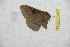  ( - BC-RBP 12505)  @11 [ ] copyright (2022) Ron Brechlin Research Collection of Ron Brechlin